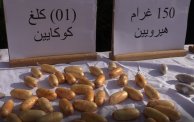 كمية كوكايين محجوزة من طرف الشرطة الجزائرية (فيسبوك/الترا جزائر)