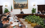 اجتماع مجلس الوزراء (فيسبوك/الترا جزائر)