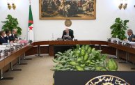 الرئيس عبد المجيد تبون يترأس مجلس الوزراء (فيسبوك/الترا جزائر)