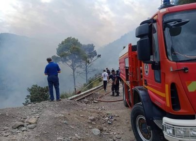 (الصورة: فيسبوك)  الحماية المدنية تخدم حريقًا غابيًا بولاية بومرداس