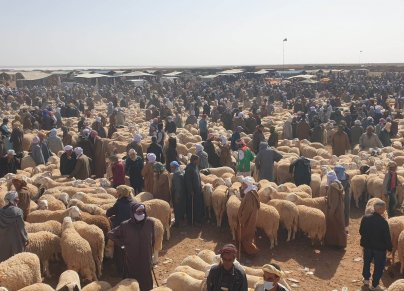 سوق الماشية