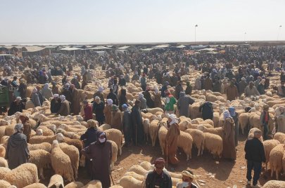 سوق الماشية