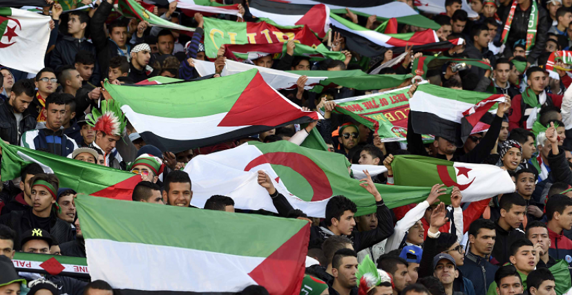 أنصار "الخضر" شجعوا المنتخب الفلسطيني في مقابلة جمعته بفريقهم (تصوير: فاروق باتيش/أ.ف.ب)