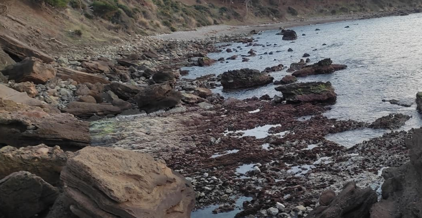 تراجع منسوب البحر في أحد شواطئ الشلف (فيسبوك/الترا جزائر)