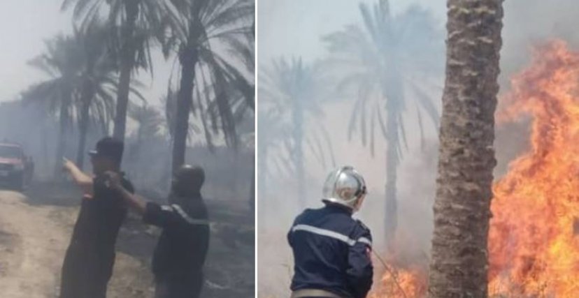 حريق بولاية المغير (فيسبوك/الحماية المدنية)