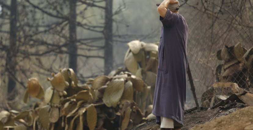 رجل يقف على مخلفات النيران بولاية البوية (الصورة: Getty)