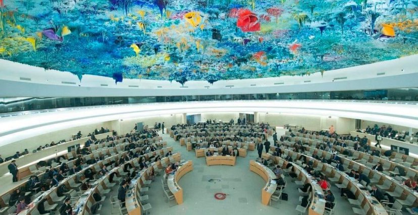 مجلس حقوق الإنسان 