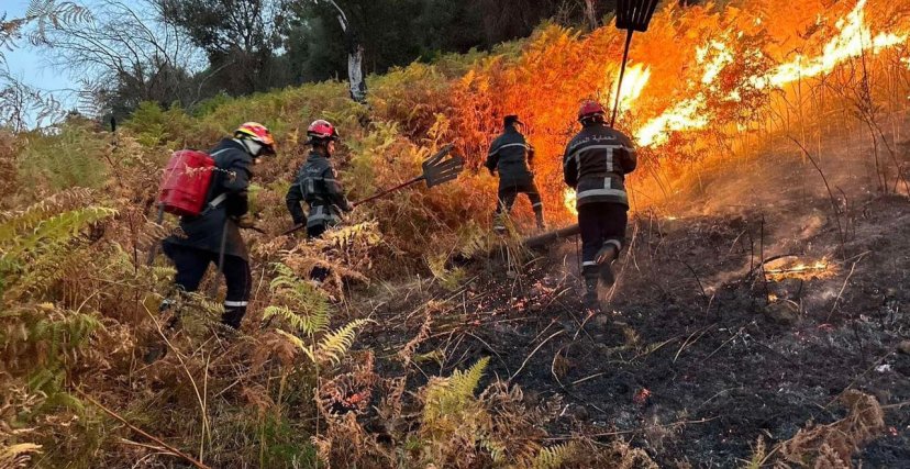 (الصورة: فيسبوك) حرائق في ولاية بجاية 