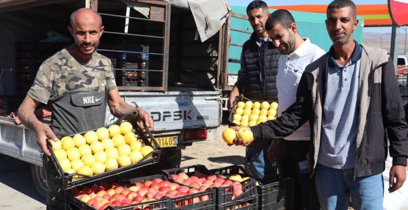 البيع المباشر لفاكهة التفاح